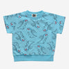 Boy Sweatshirt Set