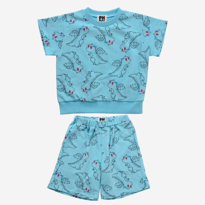 Boy Sweatshirt Set