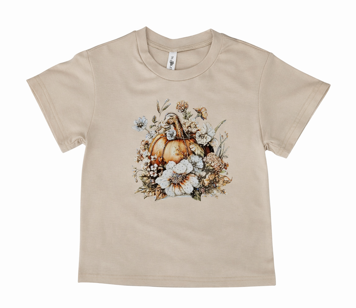 Winter Pumpkin Tee Shirt
