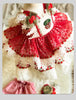 Strawberry Jubilee Dress