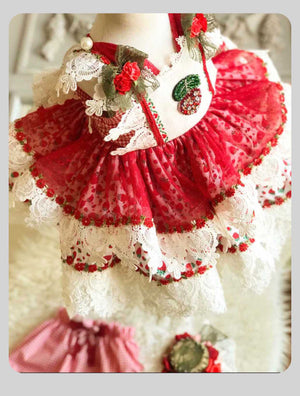 Strawberry Jubilee Dress