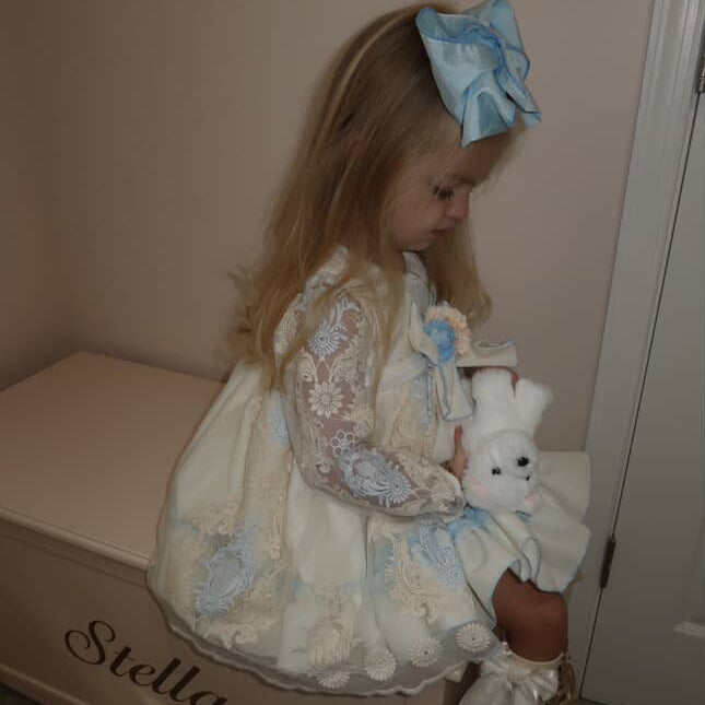 Samantha Sheer Sleeve Dress