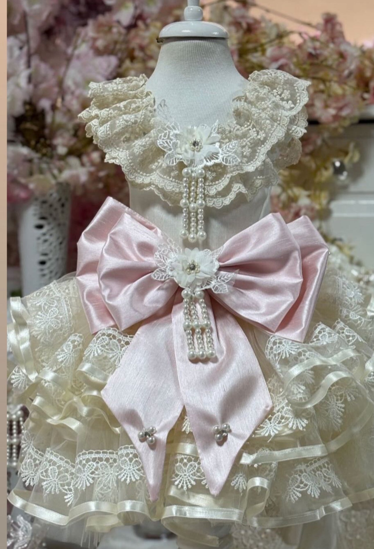 Victorian Dress and Bloomers