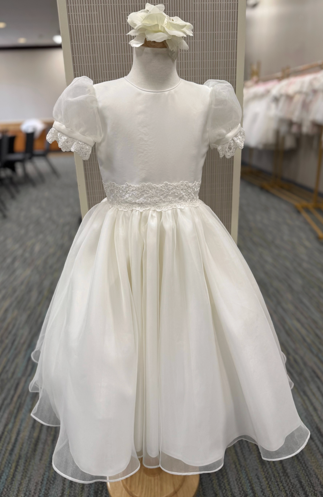 Illusion Puff Sleeve Dress