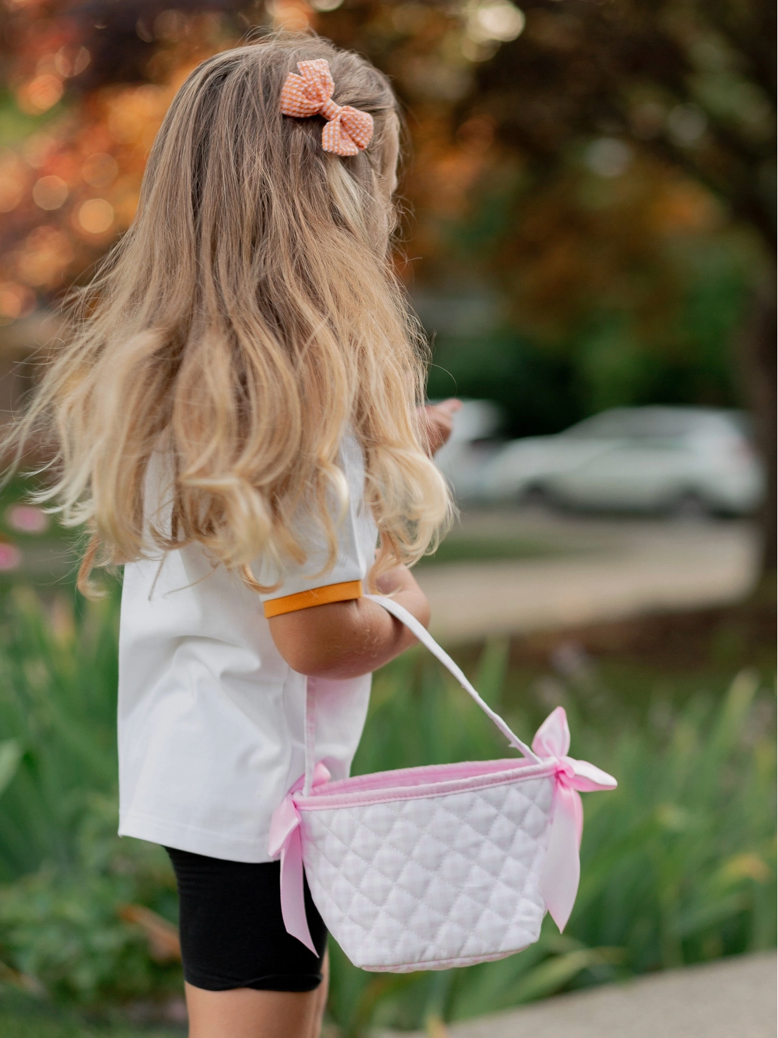 Petite Pumpkin Tote