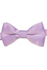 Boys Bowtie
