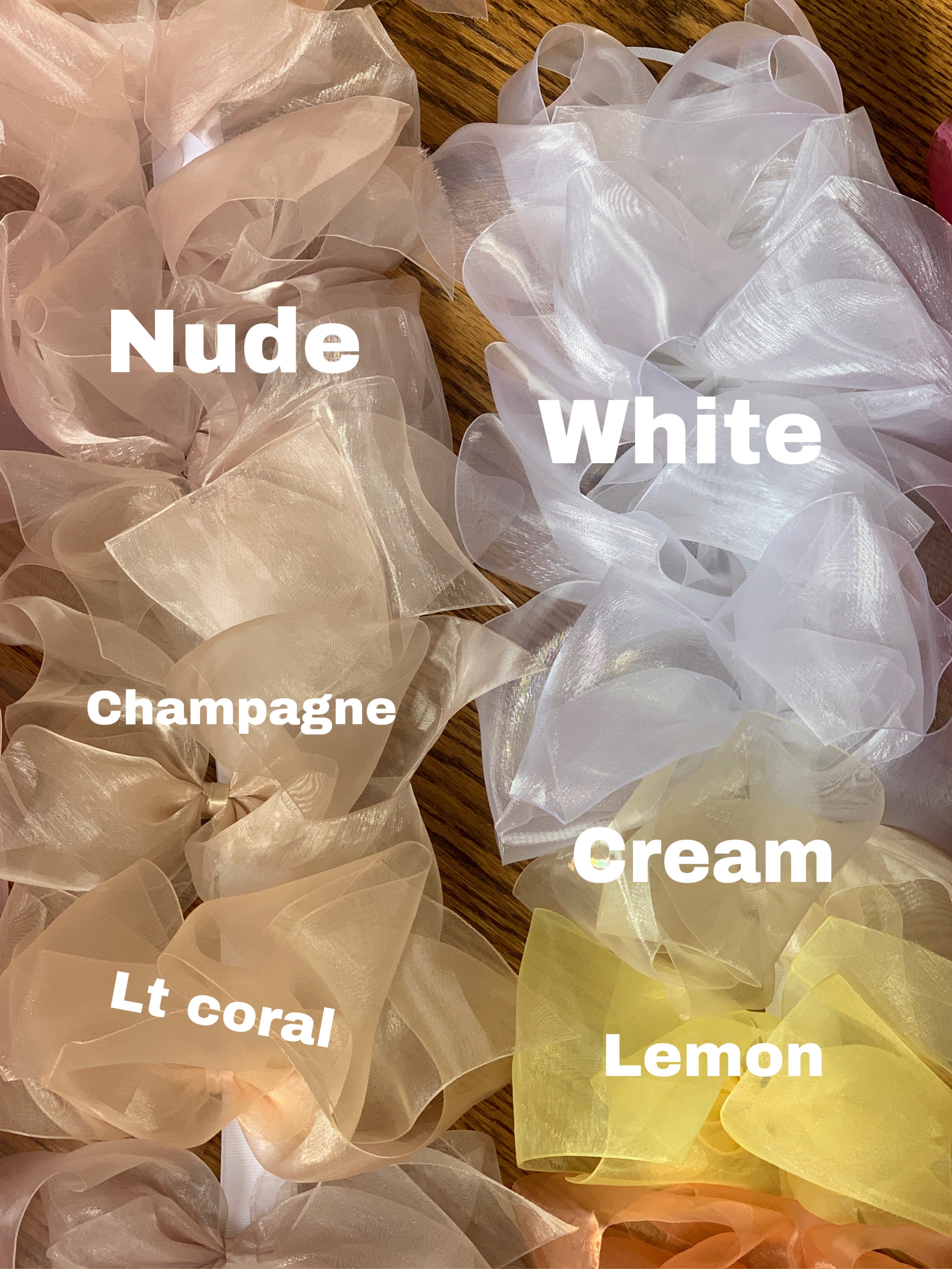 Super Jumbo Organza Sheer Bow